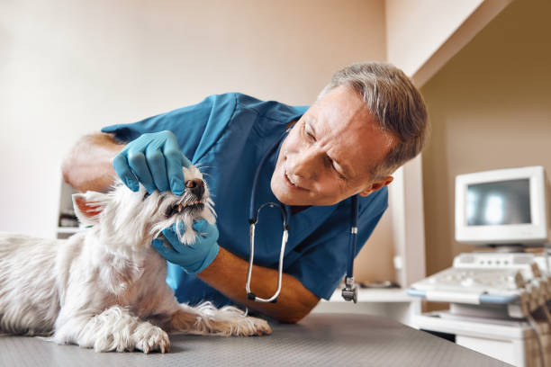Best Emergency Tooth Extraction in Morris Plains, NJ