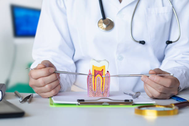 Best Emergency Broken Tooth Repair in Morris Plains, NJ